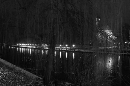 An der Jahrtausendbrücke An der Jahrtausendbrücke