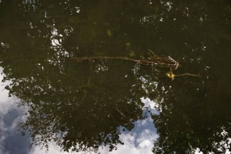 An der Mostrichmühle IX An der Mostrichmühle IX